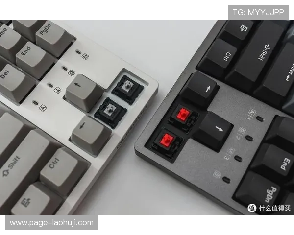 玩家必看：目前市场上最受欢迎的老虎机电子游戏平台有哪些值得尝试的选择